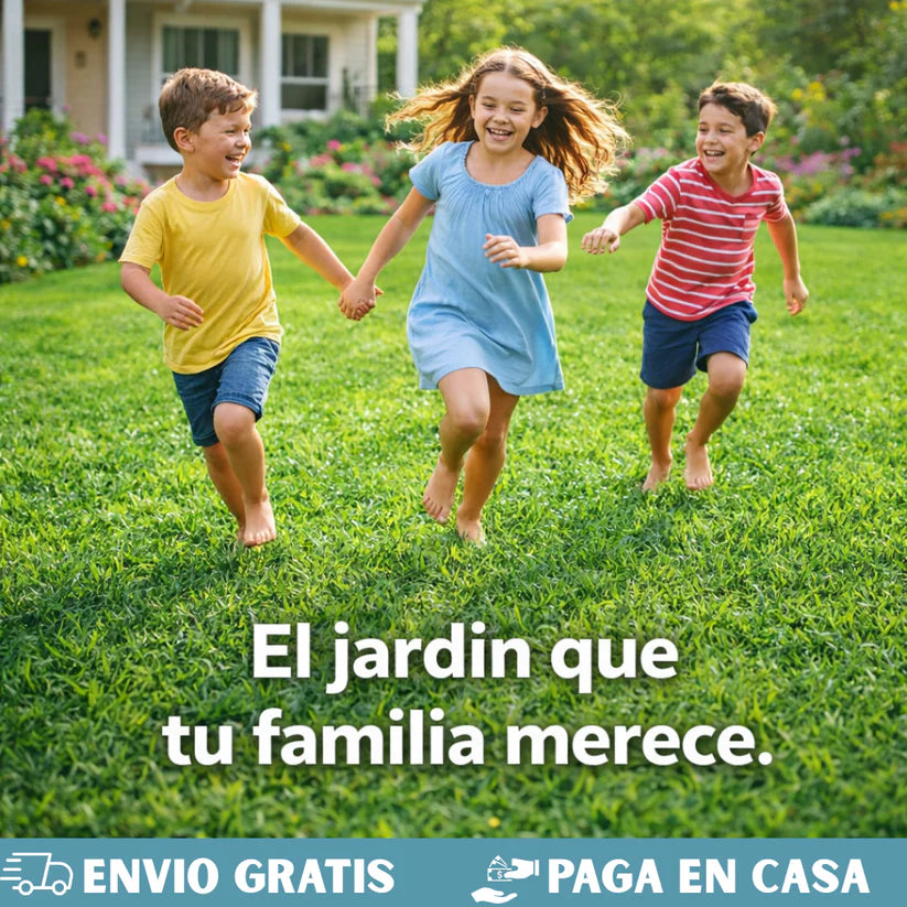 🌱Semillas de Pasto Autoreparable - Cubre hasta 15 m2