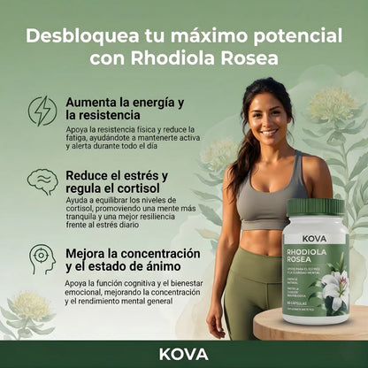 Rhodiola Rosea – mas energia y mejor forma